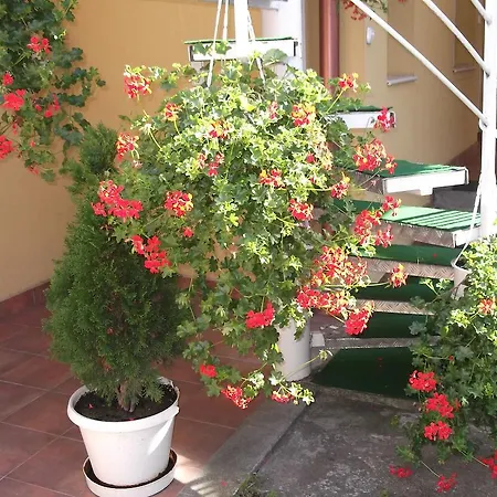 Matild Apartmanhaz Apartament *